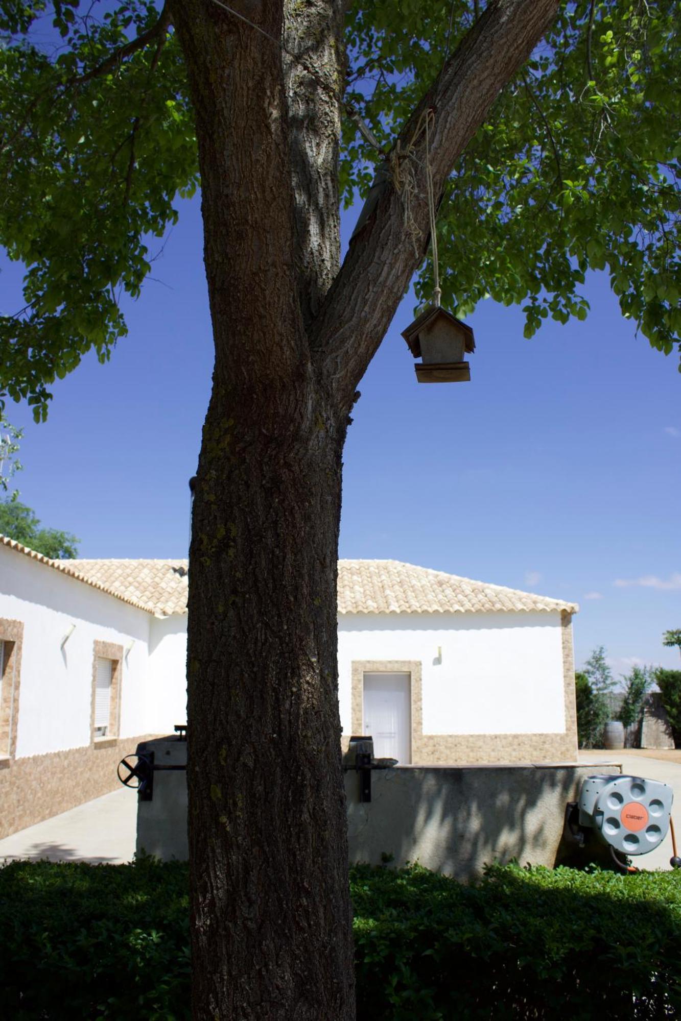 Lujosa Casa En La Cuna Del Quijote Tomelloso Exterior photo